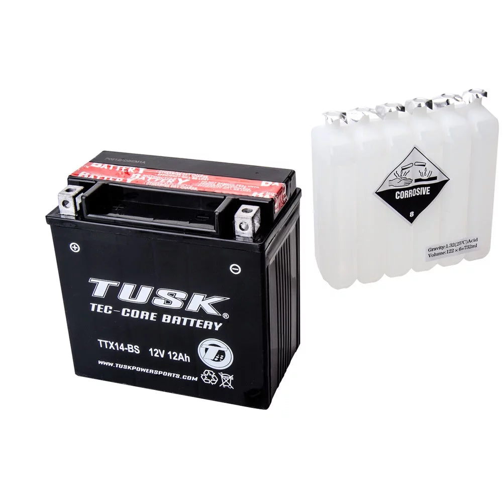 Maintenance-Free Battery with Acid F87429