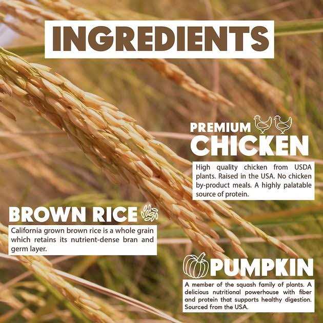 Chicken Brown Rice & Pumpkin Dry Dog Food W260