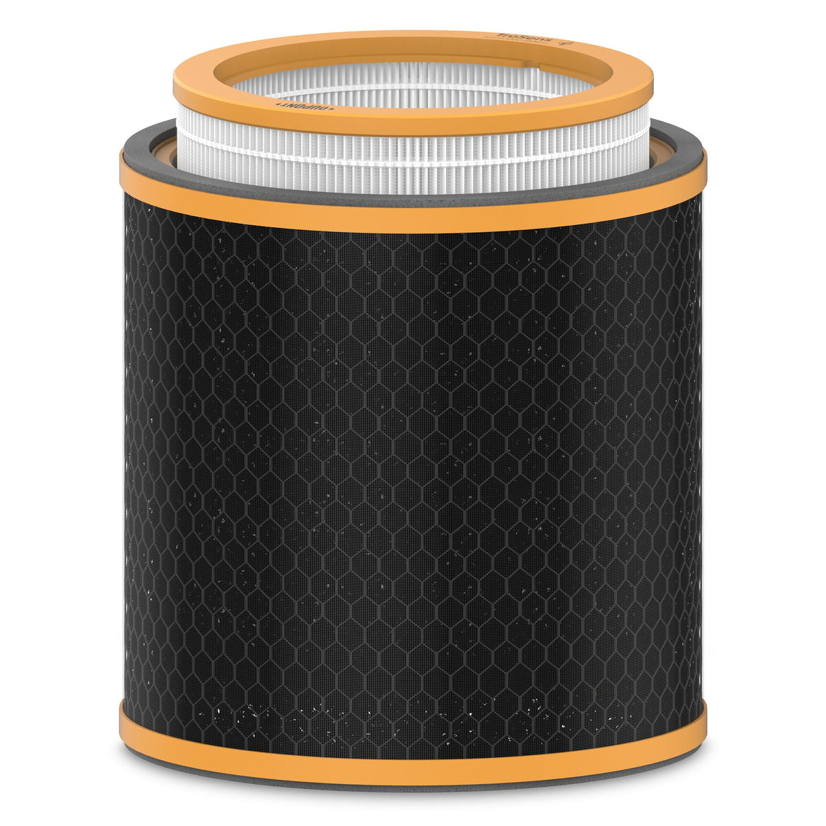 Odor & VOC Filter with True HEPA T50825