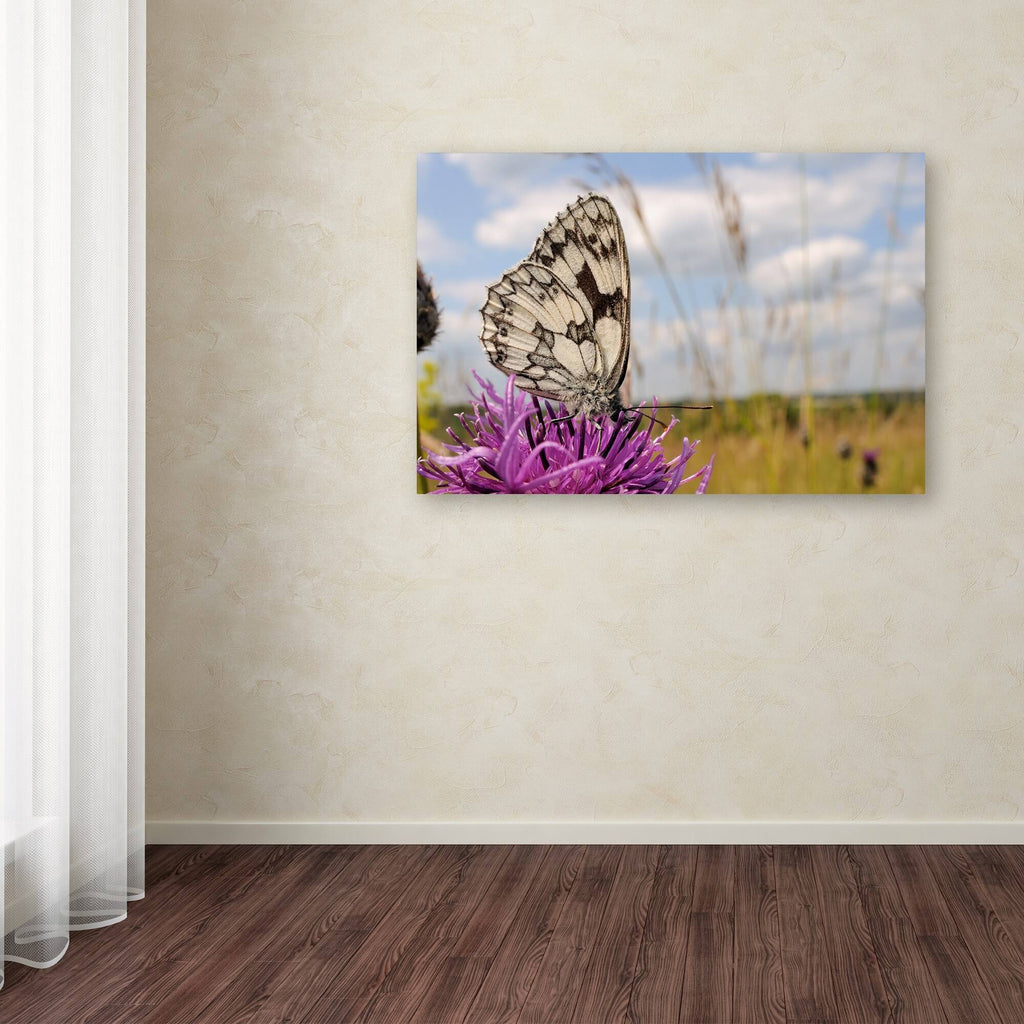 White Butterfly Canvas Art A28453