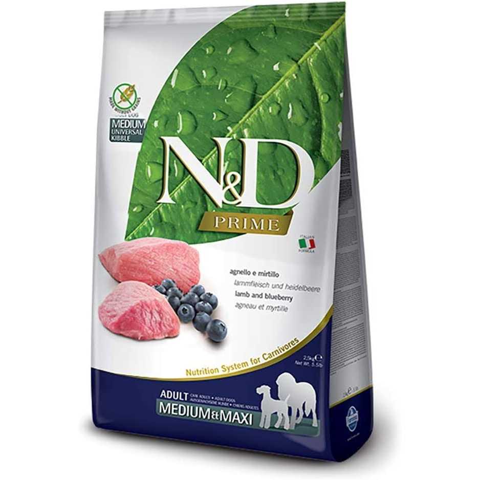 Lamb & Blueberry Grain Free Dry Dog Food Z231735