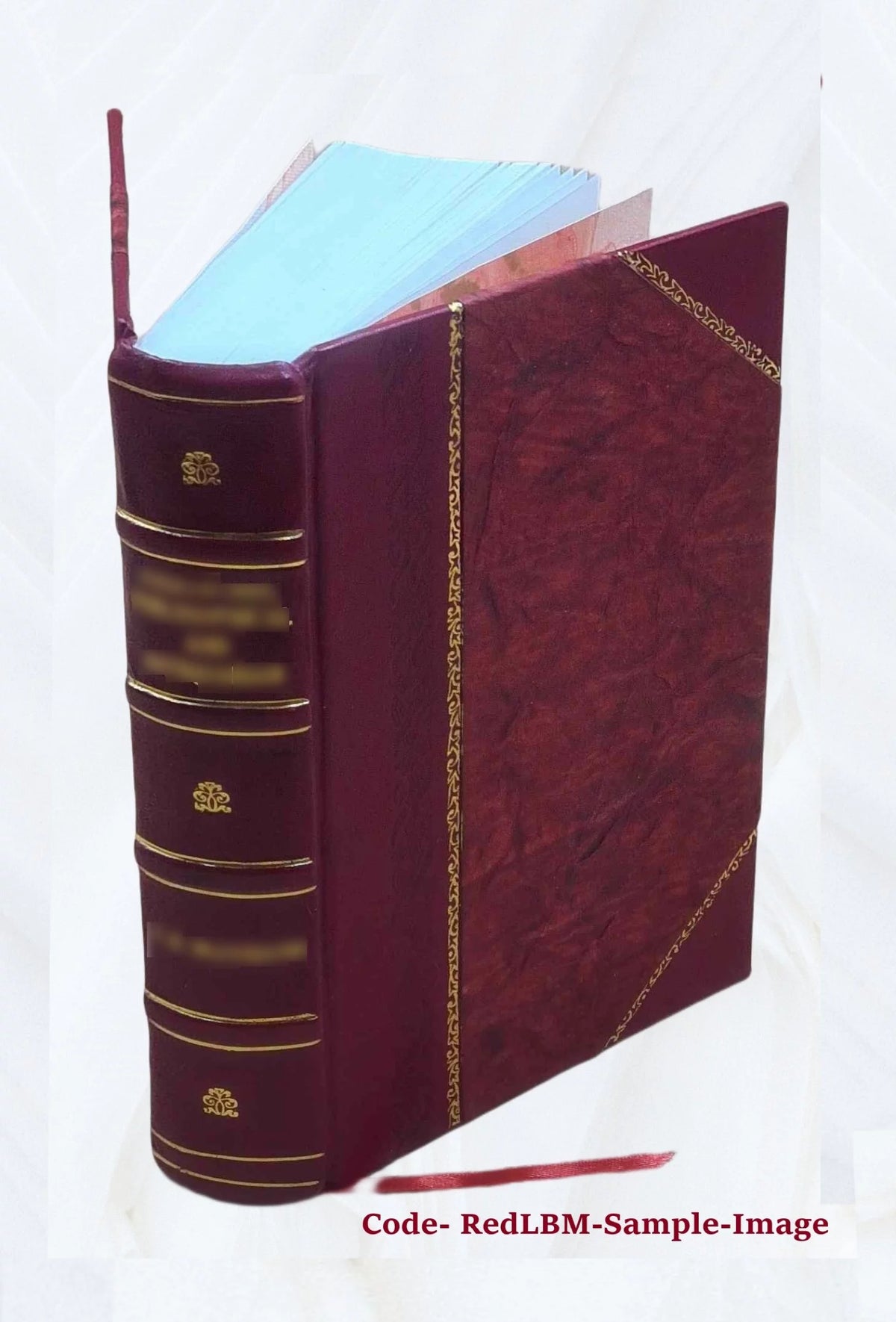 Leather Bound D69314