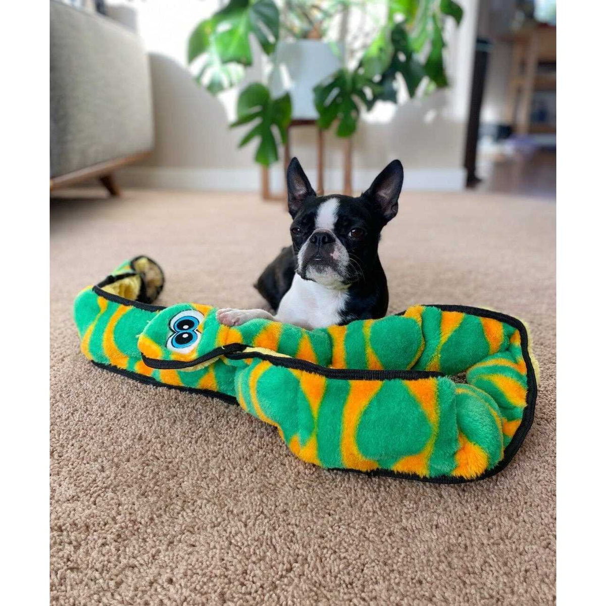 Snake Dog Toy N309701