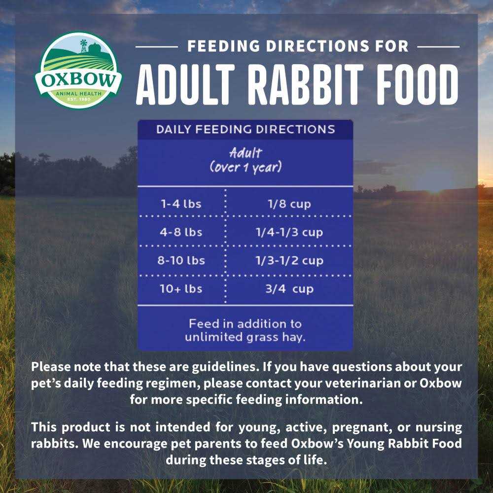 Rabbit Food J597