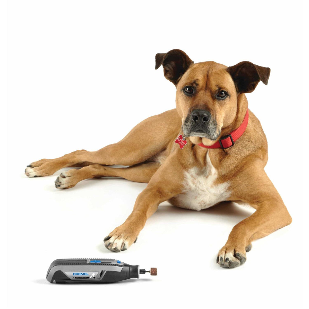 Cordless Pet Nail Grooming Kit L6400