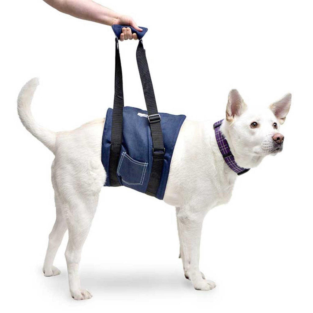 Dog Support Sling N409450