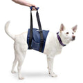 Dog Support Sling N409450