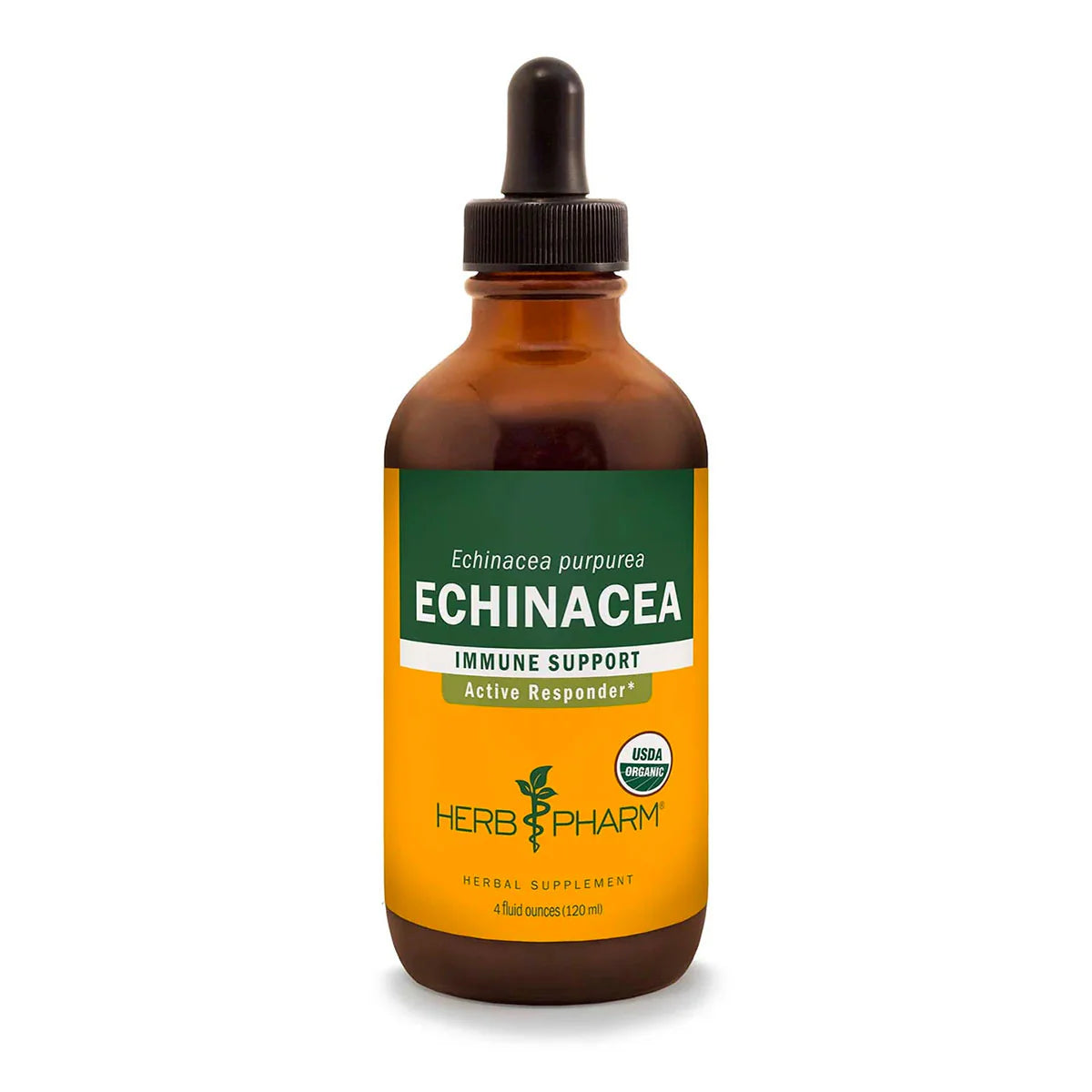 Echinacea V23623