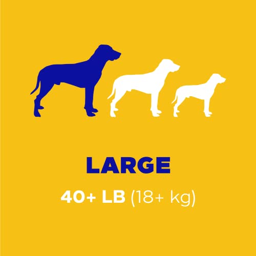 2.08 lb. 40 Treats Large Dog Dental Treats N192