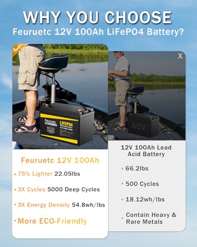 2 Pack 12V 100Ah Lithium LiFePO4 Battery with 100A BMS U640569