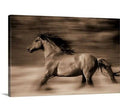 Canvas 40x22 Print V756