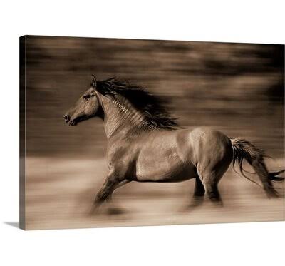 Canvas 40x22 Print V756