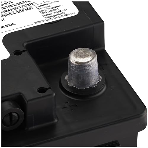 AGM BCI Group 48 Battery B8273