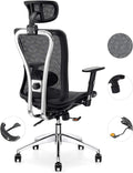 Black Mesh Ergonomic Office Chair with Lumbar Support and Headrest B521085