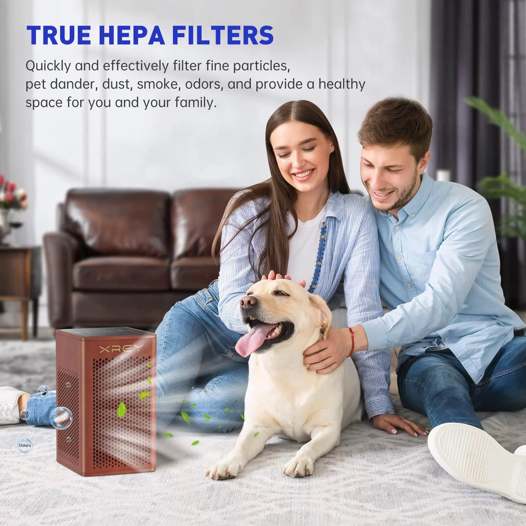 Walnut Air Purifier with H13 True HEPA Filter N974503