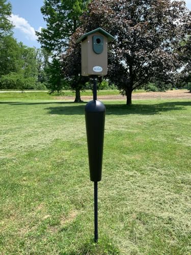 Bird Feeder Mounting Pole with Baffle A74493
