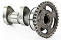 Camshaft A308