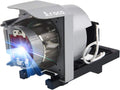 Projector Lamp with Housing Z4052