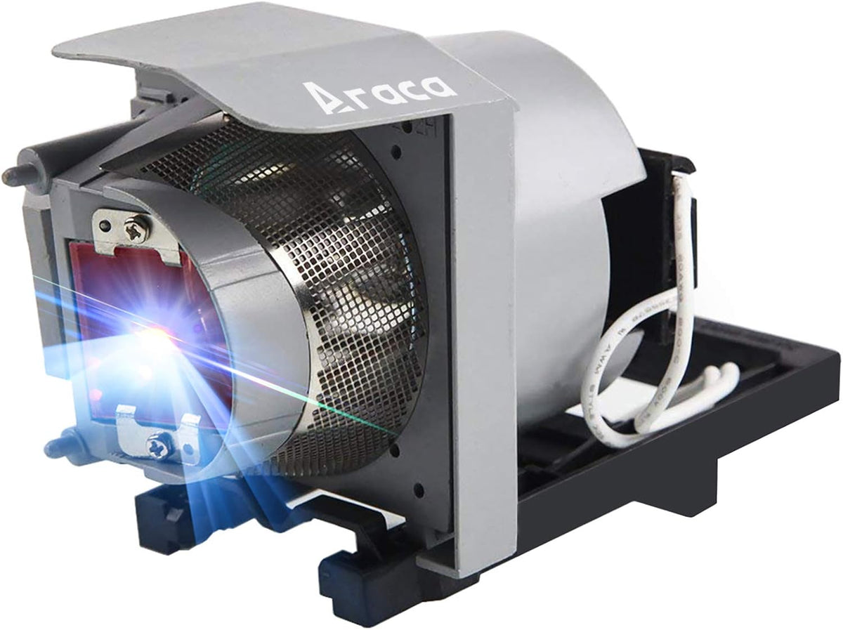 Projector Lamp with Housing Z4052