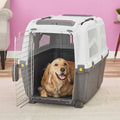 Plastic Travel Carrier F21620