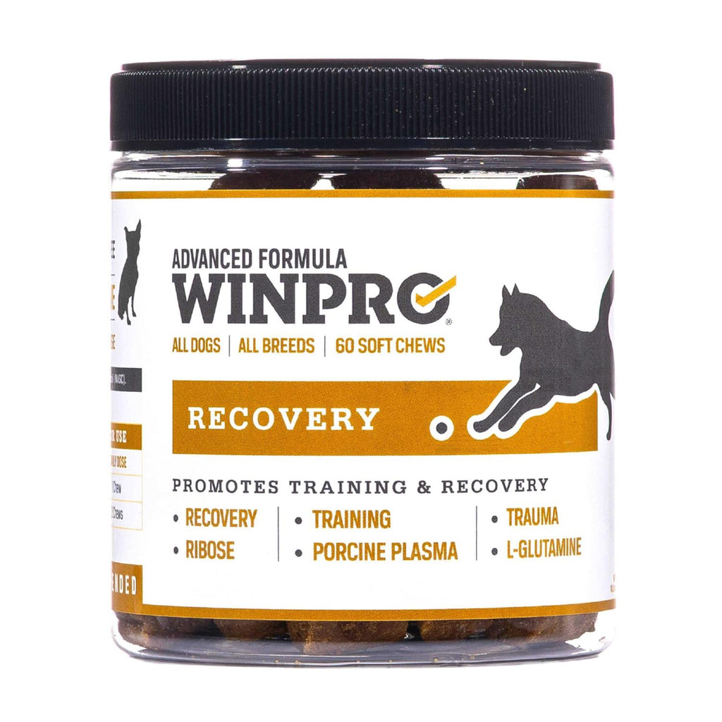 Soft Chews, 60 Chews, Natural Blood Protein Supplements for Dogs F47919