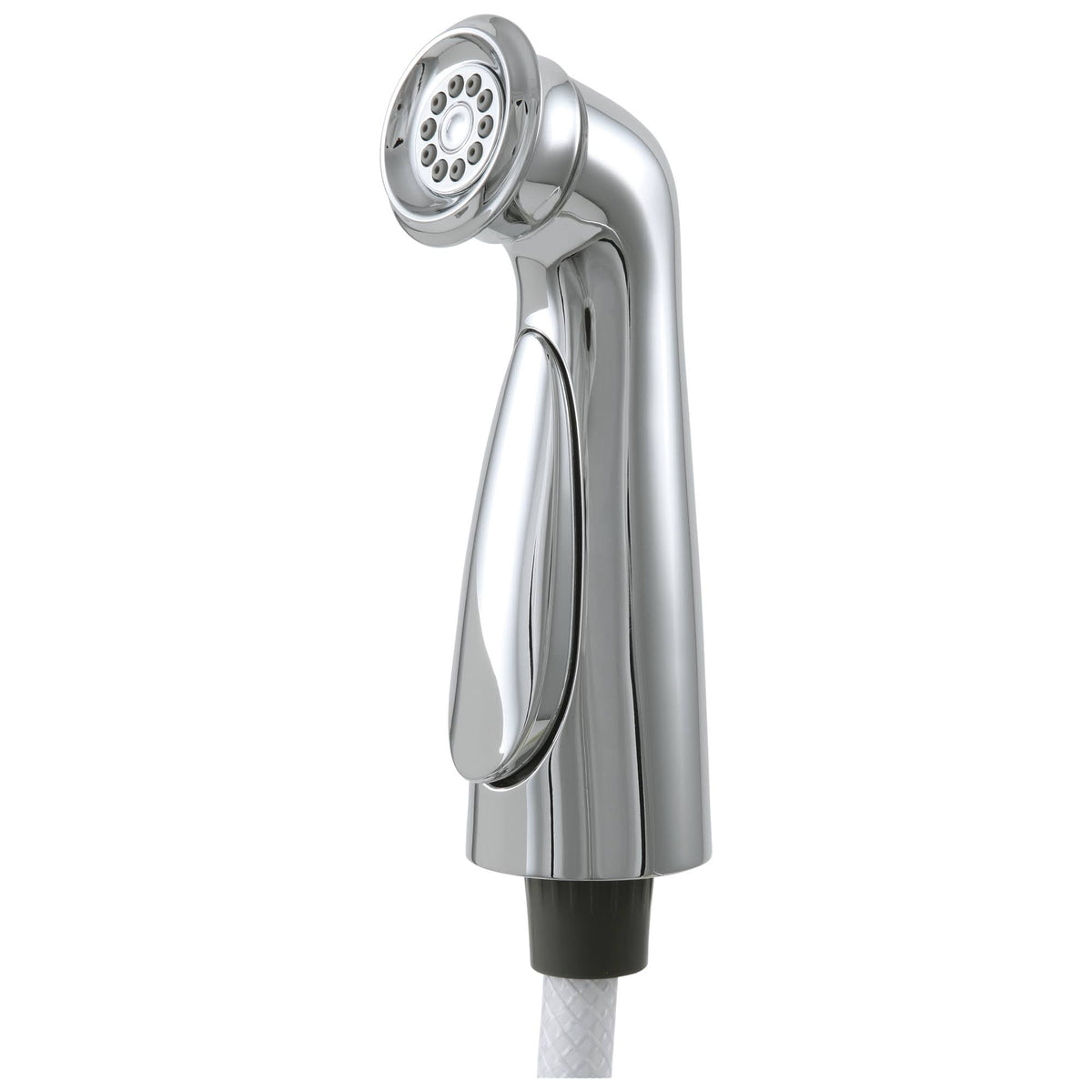 Polished Nickel Side Spray and Hose Assembly H686
