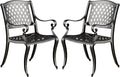 Black Sand Cast Aluminum Chairs 2-Pcs Set T563