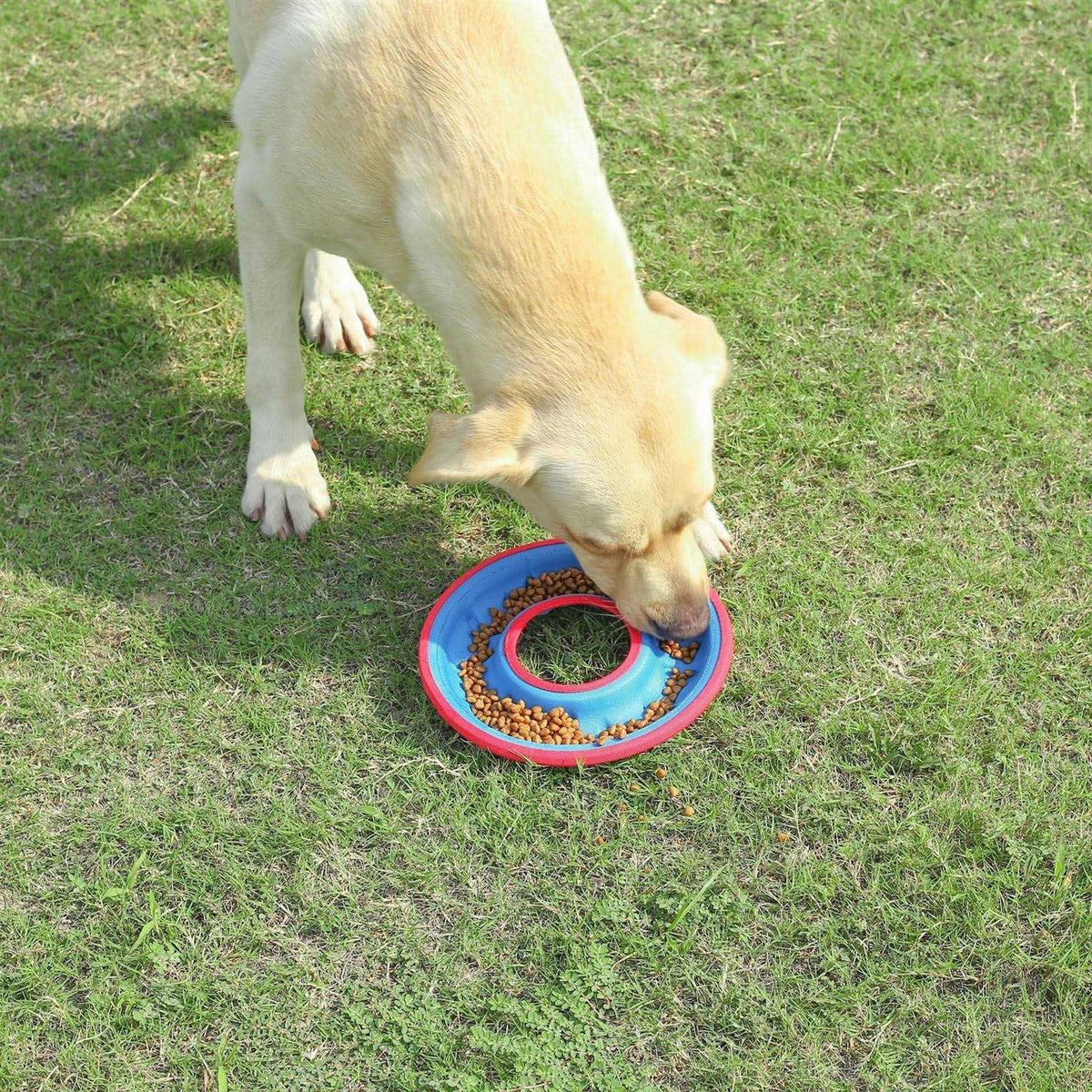 Bite Resistance Disc Bowl Y178