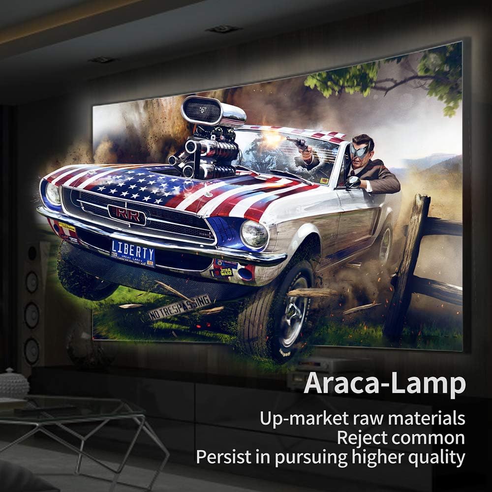 Projector Lamp with Housing Z4052