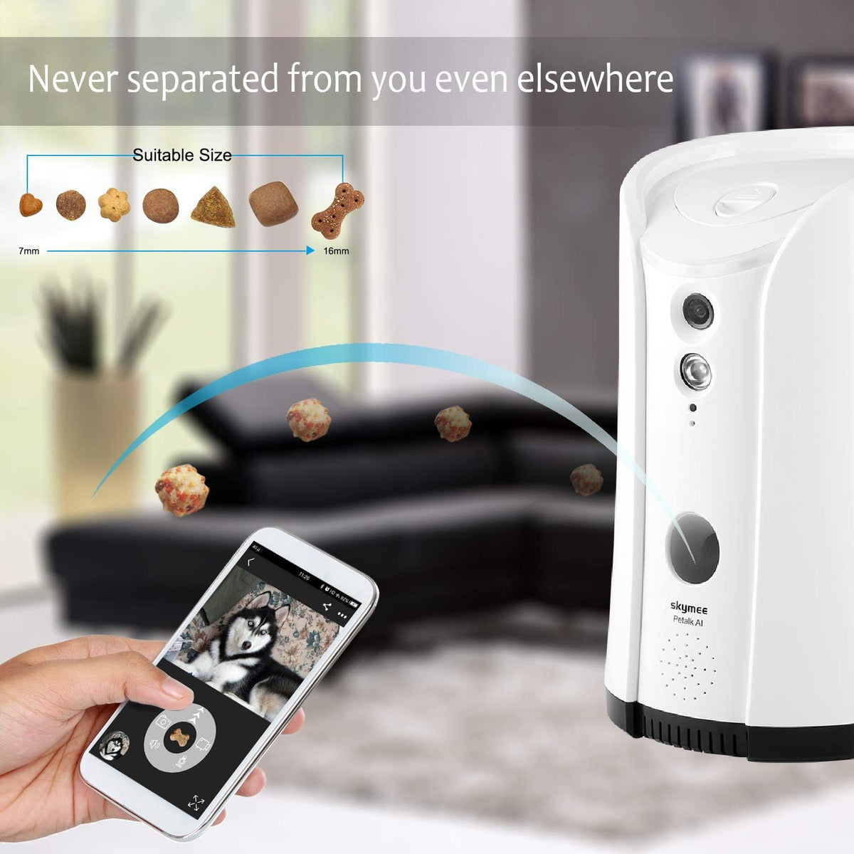 Dog Camera Treat Dispenser with Two-Way Audio and Night Vision V43221