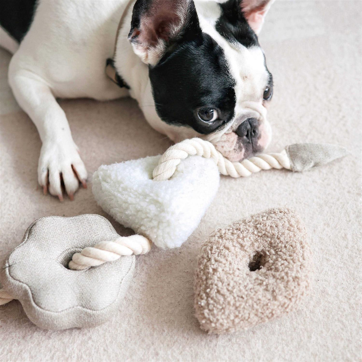 Enrichment Dog Toy K98354