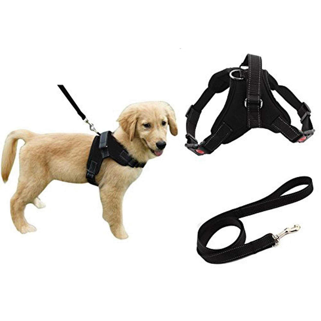 Adjustable Reflective No-Pull Padded Dog Harness with Leash Set F482269