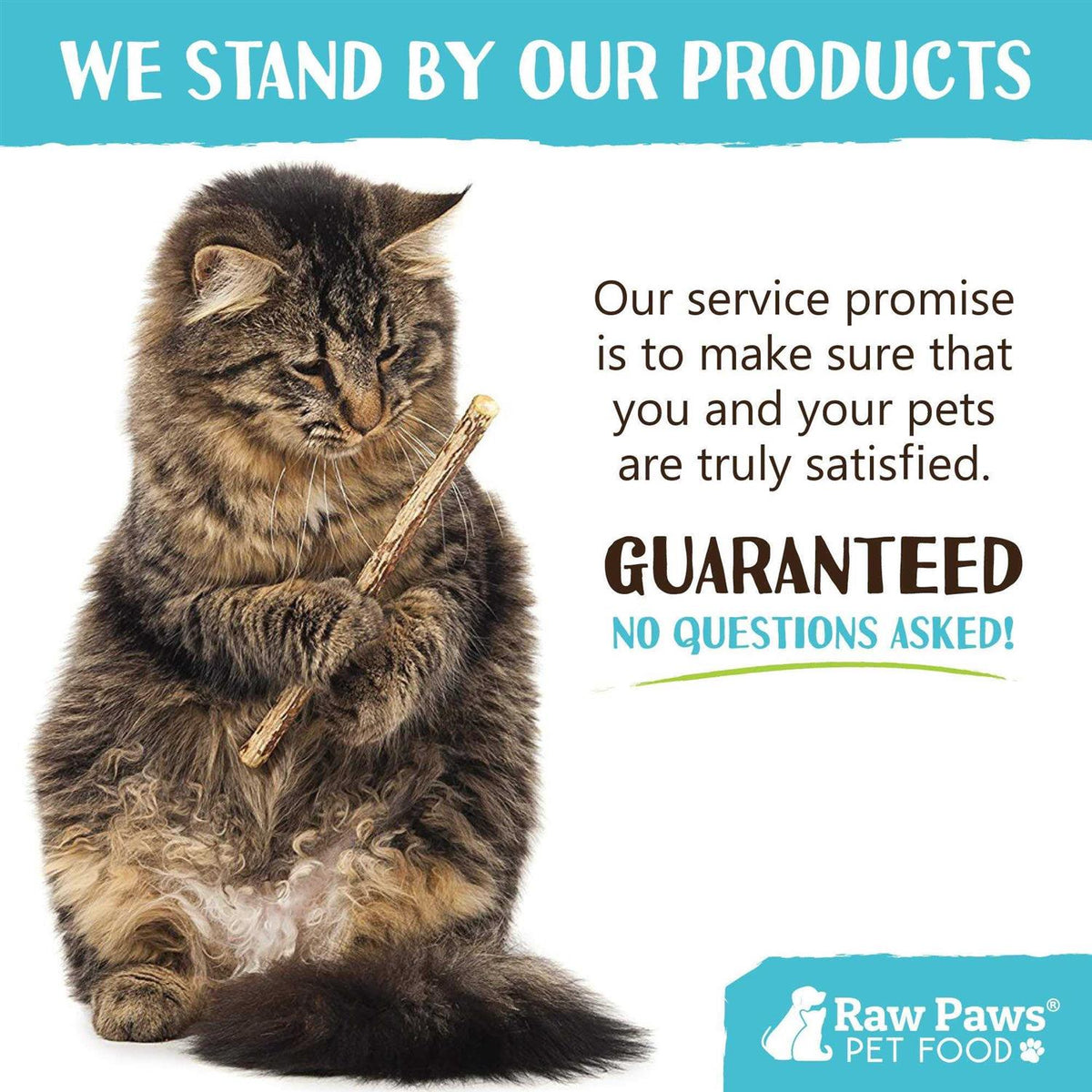 Silvervine Cat Toys J168432