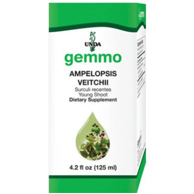 Ampelopsis veitchii 125 ml T267