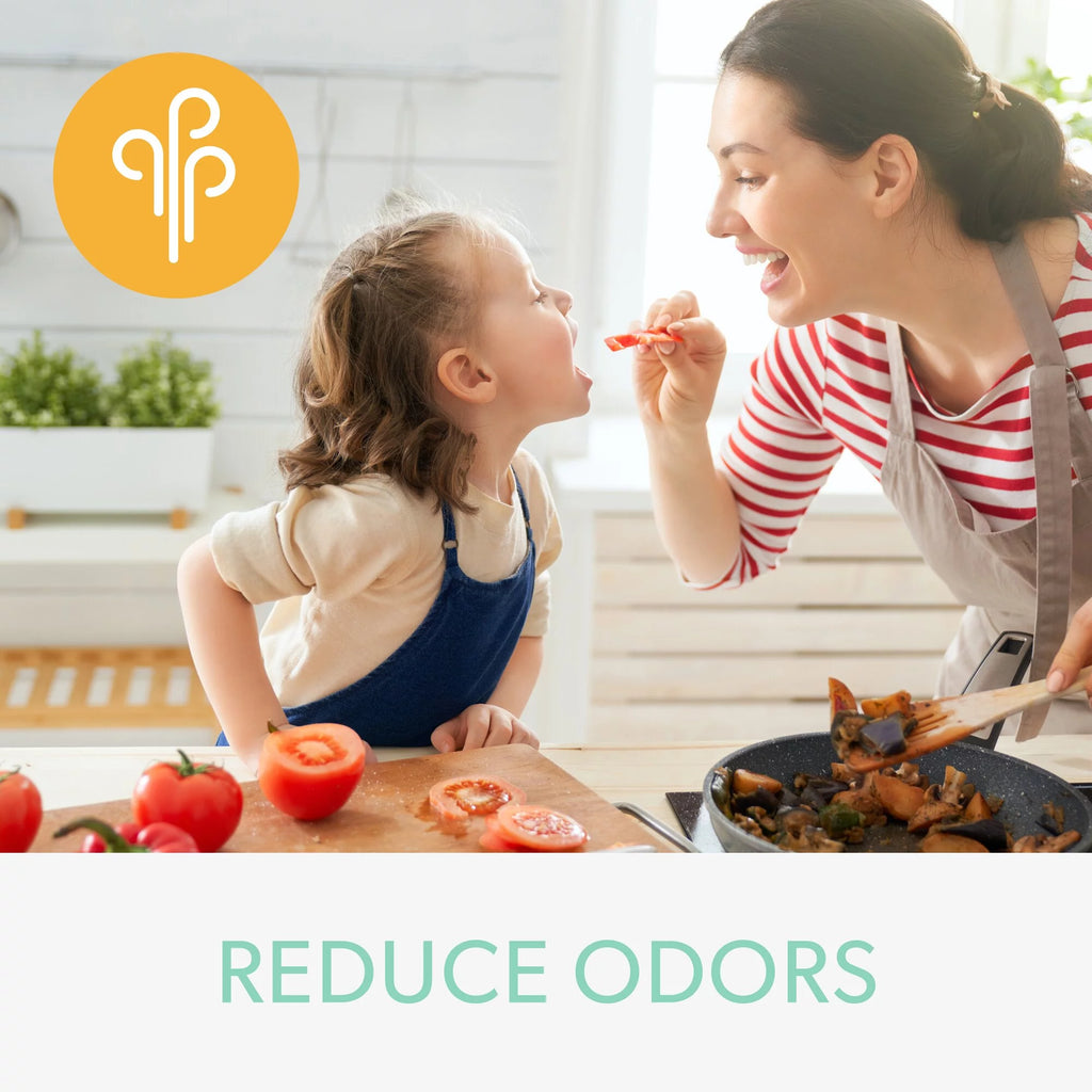 Odor & VOC Filter with True HEPA T50825