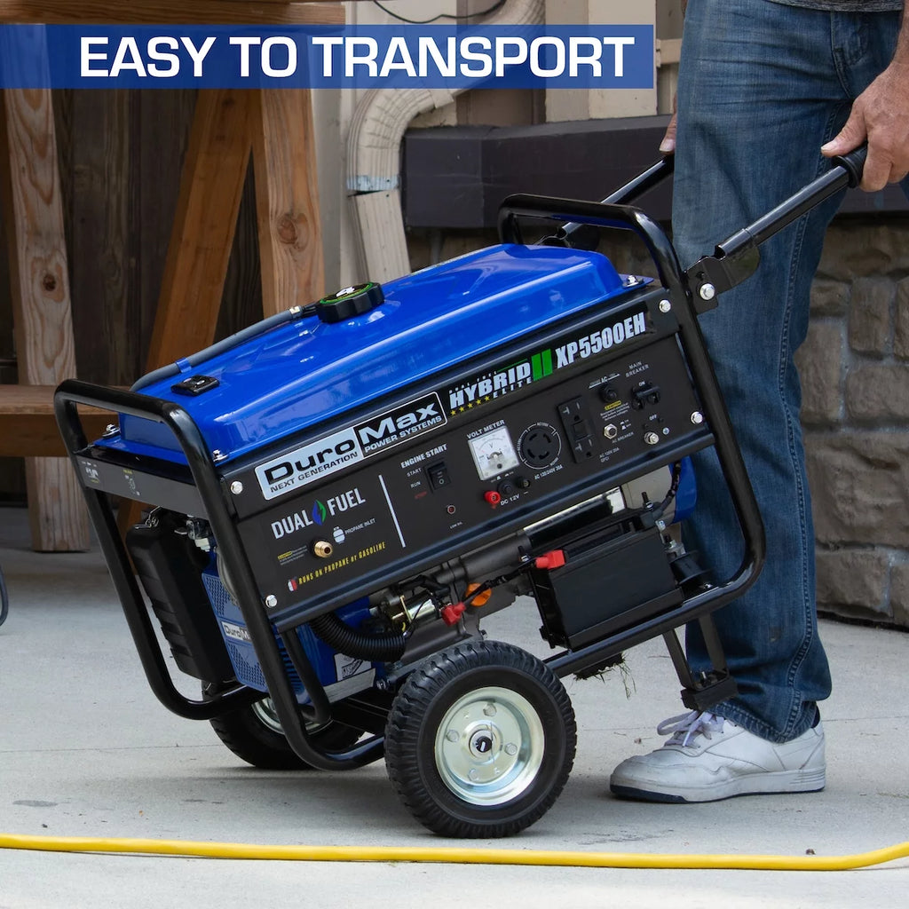 5500-Watt Dual Fuel Portable Generator L815