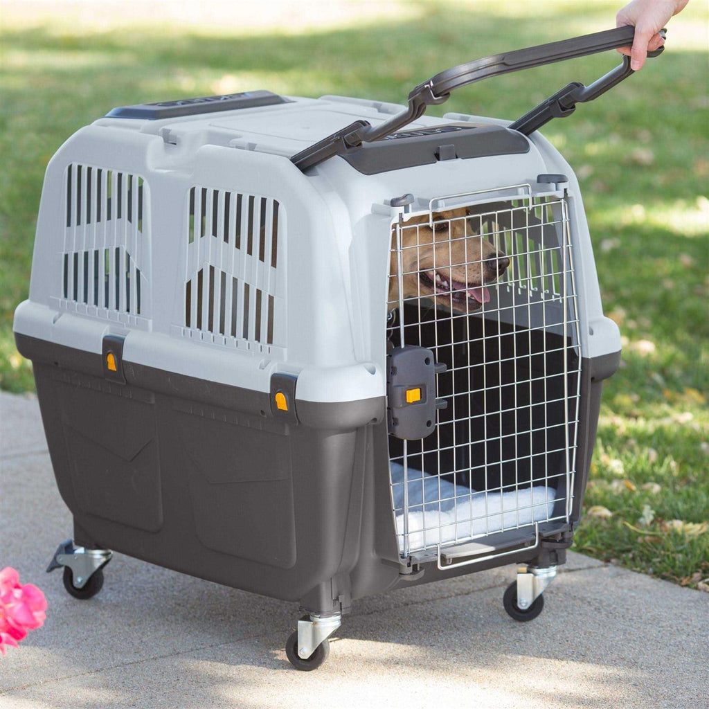 Plastic Travel Carrier F21620
