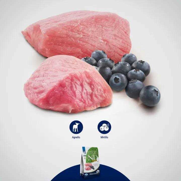Lamb & Blueberry Grain Free Dry Dog Food Z231735