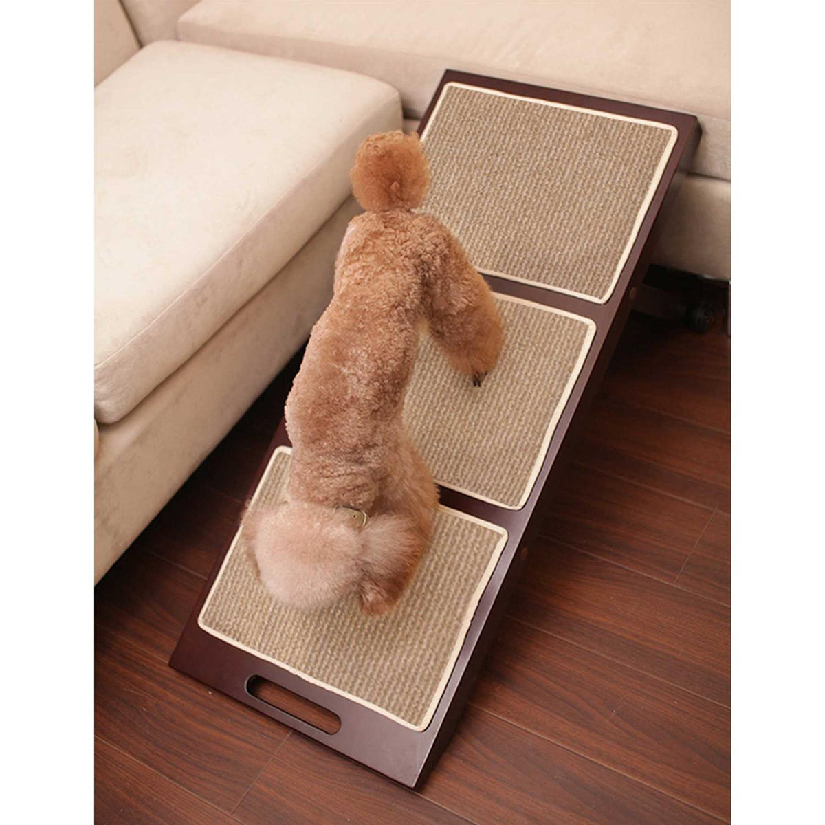 Collapsible Pet Ramp S931168