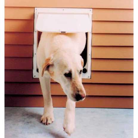 Pet Door B842