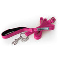 Dog Leash F543