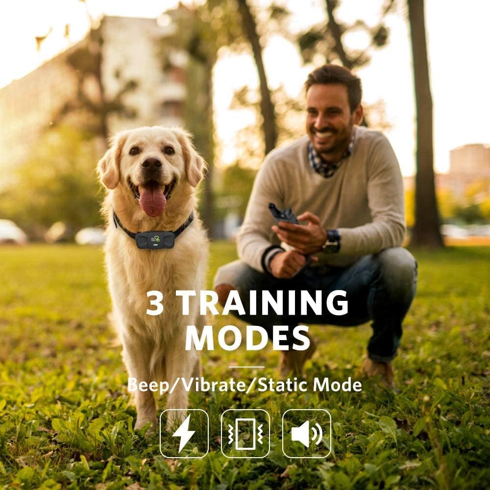 Dog Training Collar with Remote, Beep Vibration Static Modes, Pack of 2 M388316