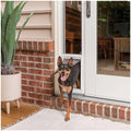 Sliding Glass Pet Door O206670