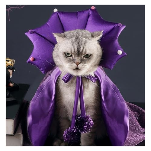 Purple Pet Costume with Cape and Witch Hat H346585