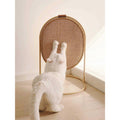 Cat Scratching Post N671817