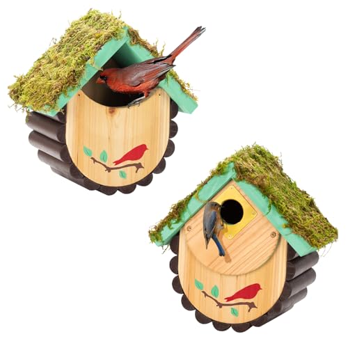 Cedar Wood Large Open Bird House Nestbox X99205