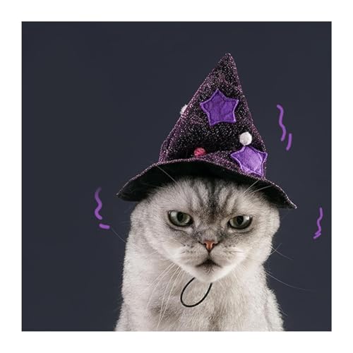 Purple Pet Costume with Cape and Witch Hat H346585