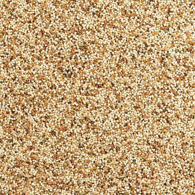 Daily Blend Nutrition Diet for Parakeet, Canary and Finch 10 Pounds X6628