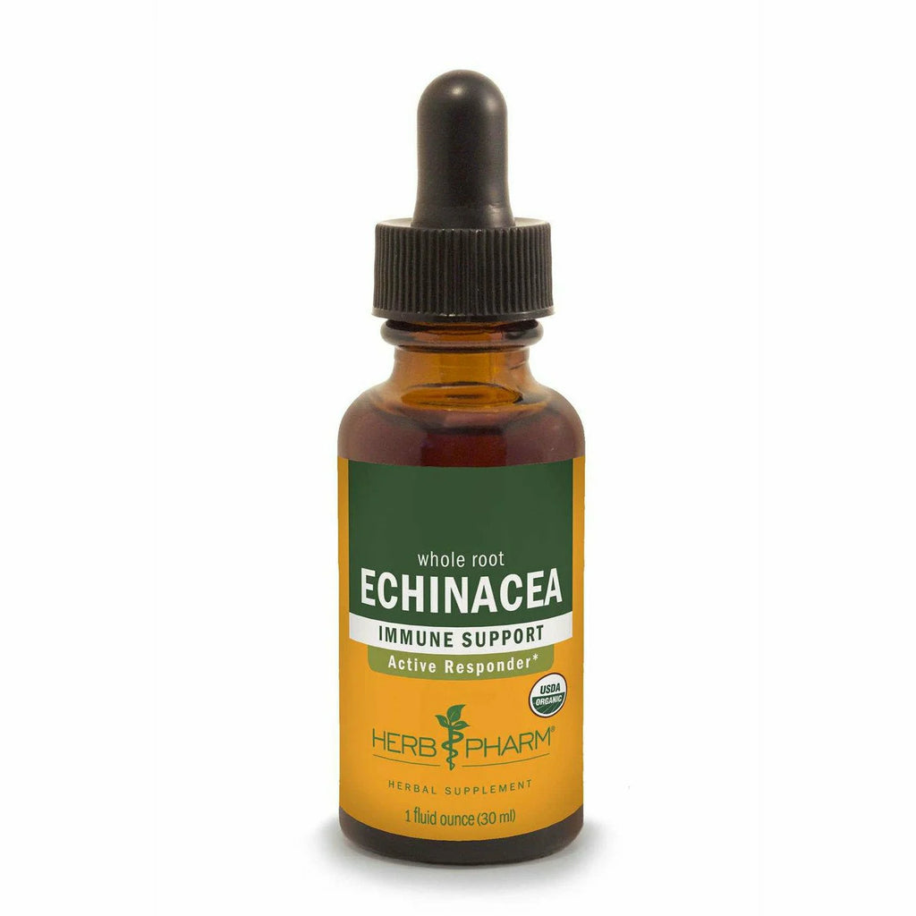 Echinacea V23623