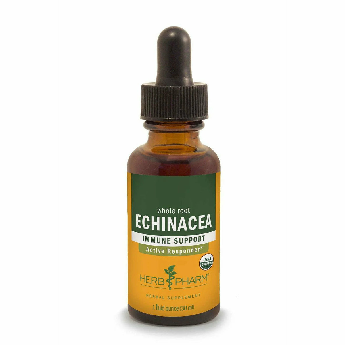 Echinacea V23623